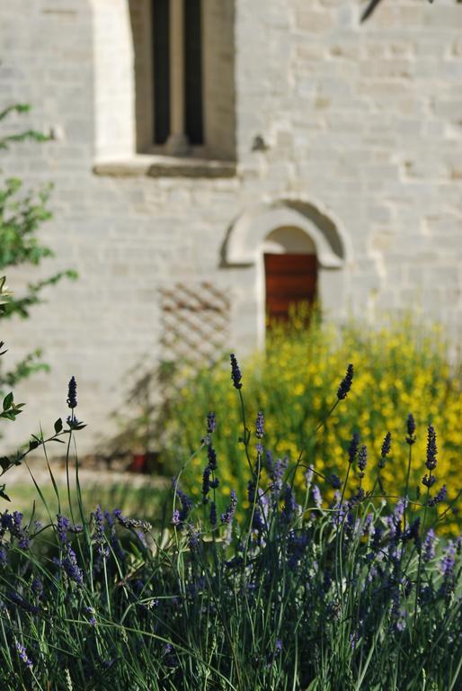 B&B San Paterniano Cingoli Esterno foto